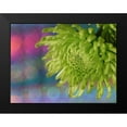 thumbnail image 2 of Bonin, Suzanne 24x19 Black Modern Framed Museum Art Print Titled - Green Chrysanthemum, 2 of 5