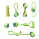 thumbnail image 1 of Interactive Dental Care Chew Toy Cute Paws Pets Store Round, 1 of 19