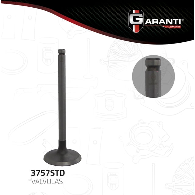 Valvula Escape Garanti Para Pontiac Optima 1988 - 1990 (Garanti)