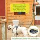 thumbnail image 5 of Correa para perro reflectante de nailon ajustable de alta calidad, sin tirones, con asa acolchada suave, bolsa para excrementos de perro y campana pequeña, número de bricolaje de 1,1 a 1,5 m (amarillo, 5 of 5