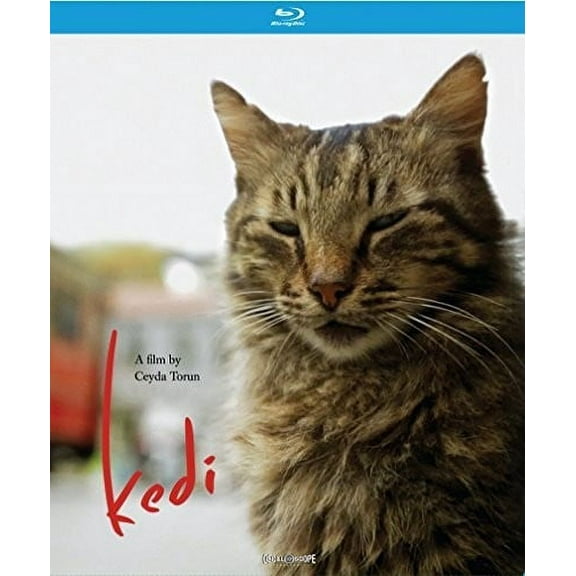 Kedi (Blu-ray), Oscilloscope, Documentary