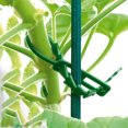 thumbnail image 3 of 50 Bridas para Cables Jardín Bridas para Cables Jardín Bridas Espina Pescado para Jardinería (A) Corto, 3 of 8