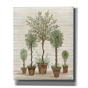 Epic Graffiti 'Potted Tree Collection' by Cindy Jacobs, Canvas Wall Art, 20"x24"