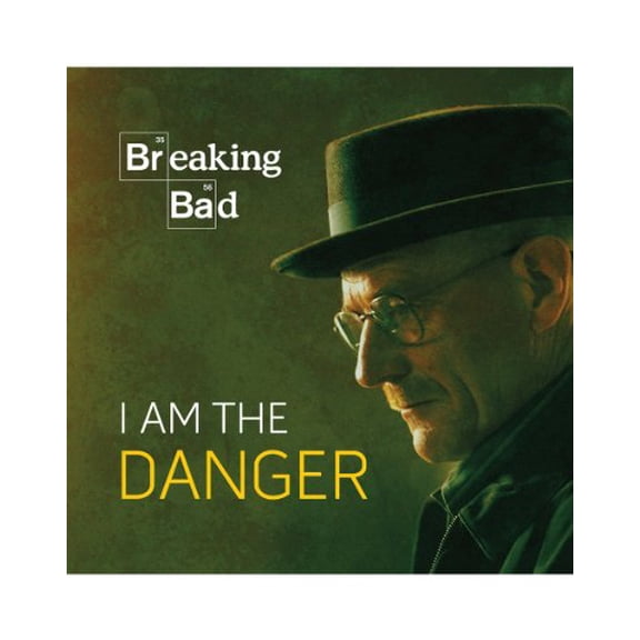 Pre-Owned Breaking Bad: I Am the Danger (Hardcover) 0762451106 9780762451104
