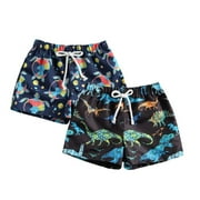 Boys and Toddlers Dinosaur and Turtle Print 2-PC Swim Trunk Set by Just Relax and Live!, 2T