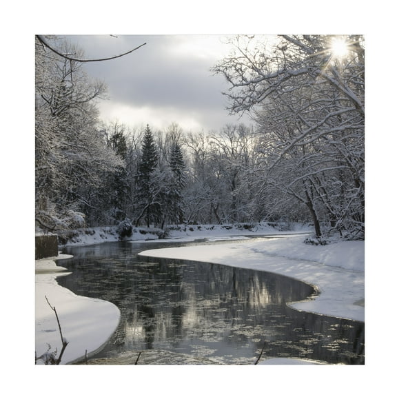 Trademark Fine Art Kurt Shaffer Fresh Snowfall on the River Canvas Wall Art - 14x14