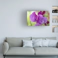 thumbnail image 2 of Trademark Fine Art 'Two Sweet Pea Flowers' Canvas Art by Cora Niele, 2 of 4