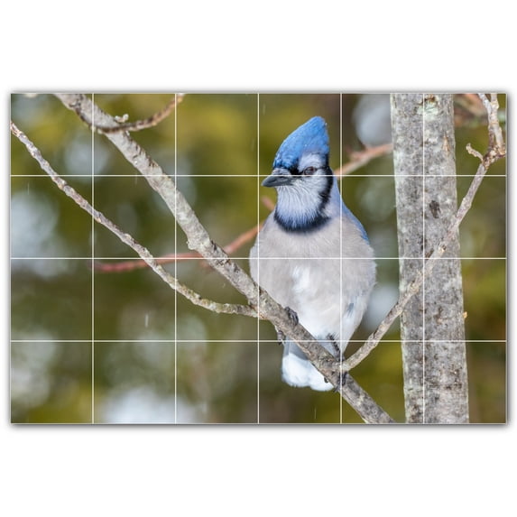 Picture-Tiles.com: Bird Ceramic Tile Wall Mural WAL500175-64L. 48"W x 32"H using (24) 8" x 8" Ceramic Tiles-Satin Finish