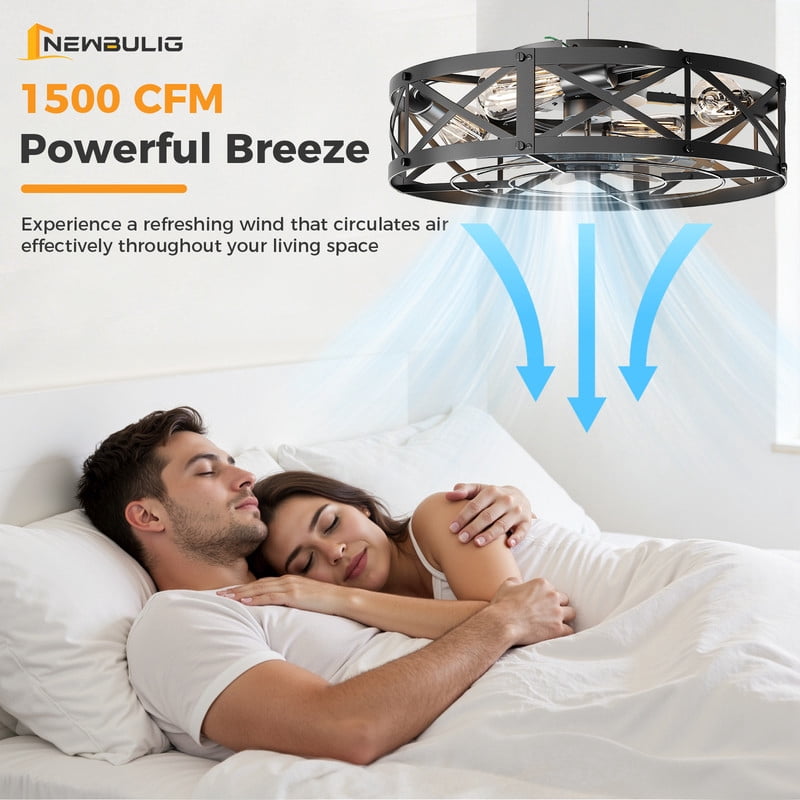 Gianna 19 Inch Ceiling Fans with Lights, Caged Ceiling Fan with Remote, Farmhouse Low Profile Fandelier, Flush Mount for Living Room Bedroom,6 Wind Speeds, Black