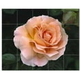 thumbnail image 1 of Flower Picture Ceramic Tile Mural Kitchen Backsplash Bathroom Shower, 404990-S54, 1 of 3