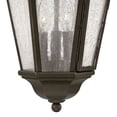 thumbnail image 5 of 3 Light Large Outdoor Hanging Lantern In Traditional Style 10 Inches Wide By 19.5 Inches High-Oil Rubbed Bronze Finish-Led Lamping Type Hinkley, 5 of 6