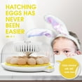 thumbnail image 4 of Adnoom Egg Incubator, 18 Eggs Automatic Incubator with Temperature Control and Automatic Egg Turning Function for Hatching Chickens, Ducks, Geese, Quails, and Birds, Built-in Egg Candler, 4 of 8