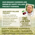 thumbnail image 2 of Happy Village Organic Soft Dried Cherries on The Go – 3 Bags (15 Individual Portion packs)  Healthy, Non-GMO, Vegan, Kosher, Gluten-Free Snack, 2 of 8