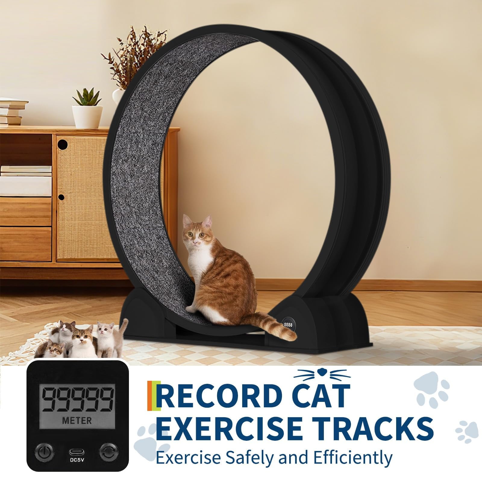 Cat Exercise Wheel for Indoor Cats, Fast Cat Wheel 45'' Quiet Cats Treadmill with Pedometer, Pet Running Wheels for Weight Loss and Health Black