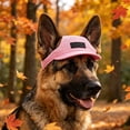 thumbnail image 4 of Gorro para perros con orificios para las orejas para Golden Retrievers – Gorro transpirable con protección solar para mascotas, ideal para paseos de verano., 4 of 6