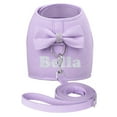 thumbnail image 4 of Pet Artist Custom Dog Harness with Name Print, Soft Mesh Padded Vest & Leash Set for Small Medium Dogs, Puppy and Cat, Adjustable Pet Vest, 4 of 10