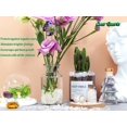 thumbnail image 2 of Juego de piedras preciosas YATOJUZI Cristal curativo de cuarzo transparente, 200 g, 2 of 7