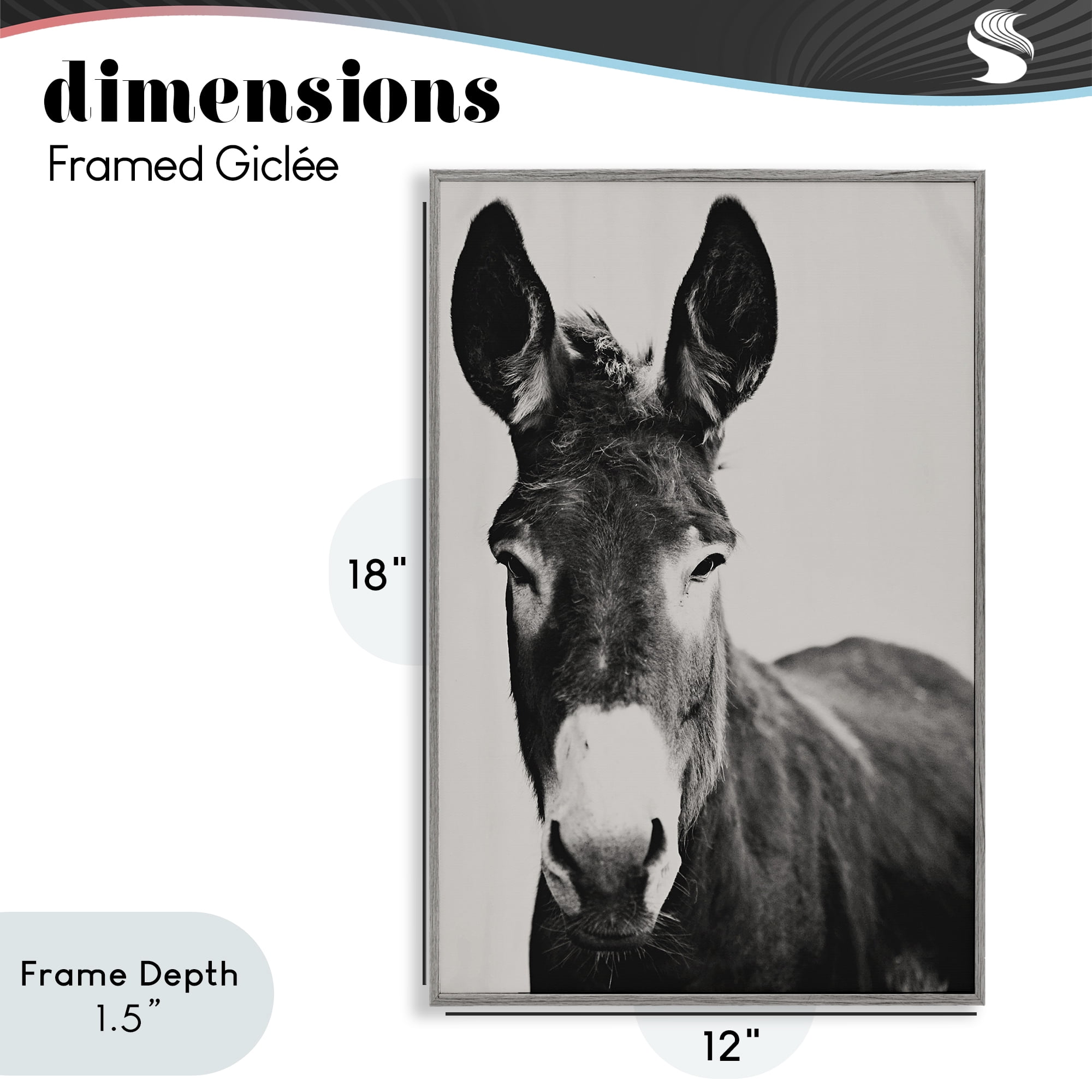 Stupell Industries Franz the Donkey Portrait Gray Framed Giclee Art, design by Amy Carroll