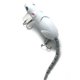 thumbnail image 1 of Swimbait Crankbait Simulación La Pesca Del Ratón Señuelo Cebo Rata Artificial Señora Pesa Señuelos, 1 of 9