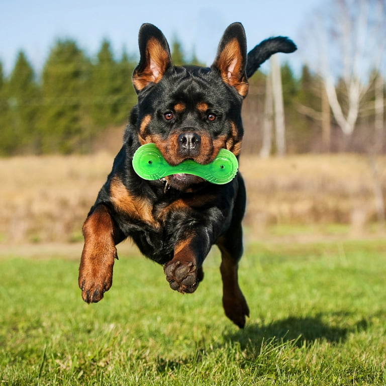 Nerf Dog Super Scent Beef-Scented Barbell Chew Dog Toy, Green, 7 inch