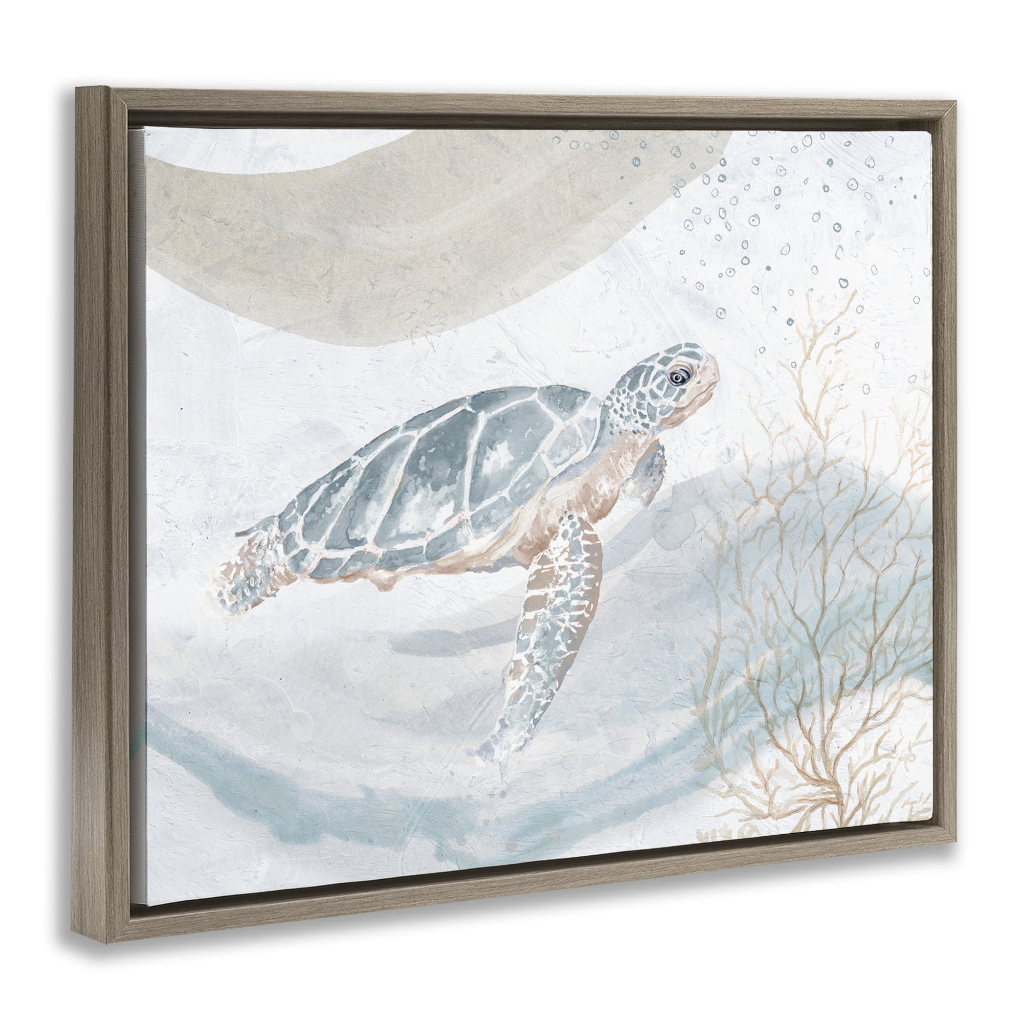 Stupell Industries Turtle Watercolor Style Animals & Insects Painting Brown Floater Framed Canvas Art Print Wall Art, 31 x 25