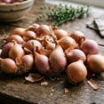 thumbnail image 6 of 1 Lb Shallot Bulbs, Outdoor Shallot Planting, Small Plant for Garden Bed or Container Growing, 6 of 6
