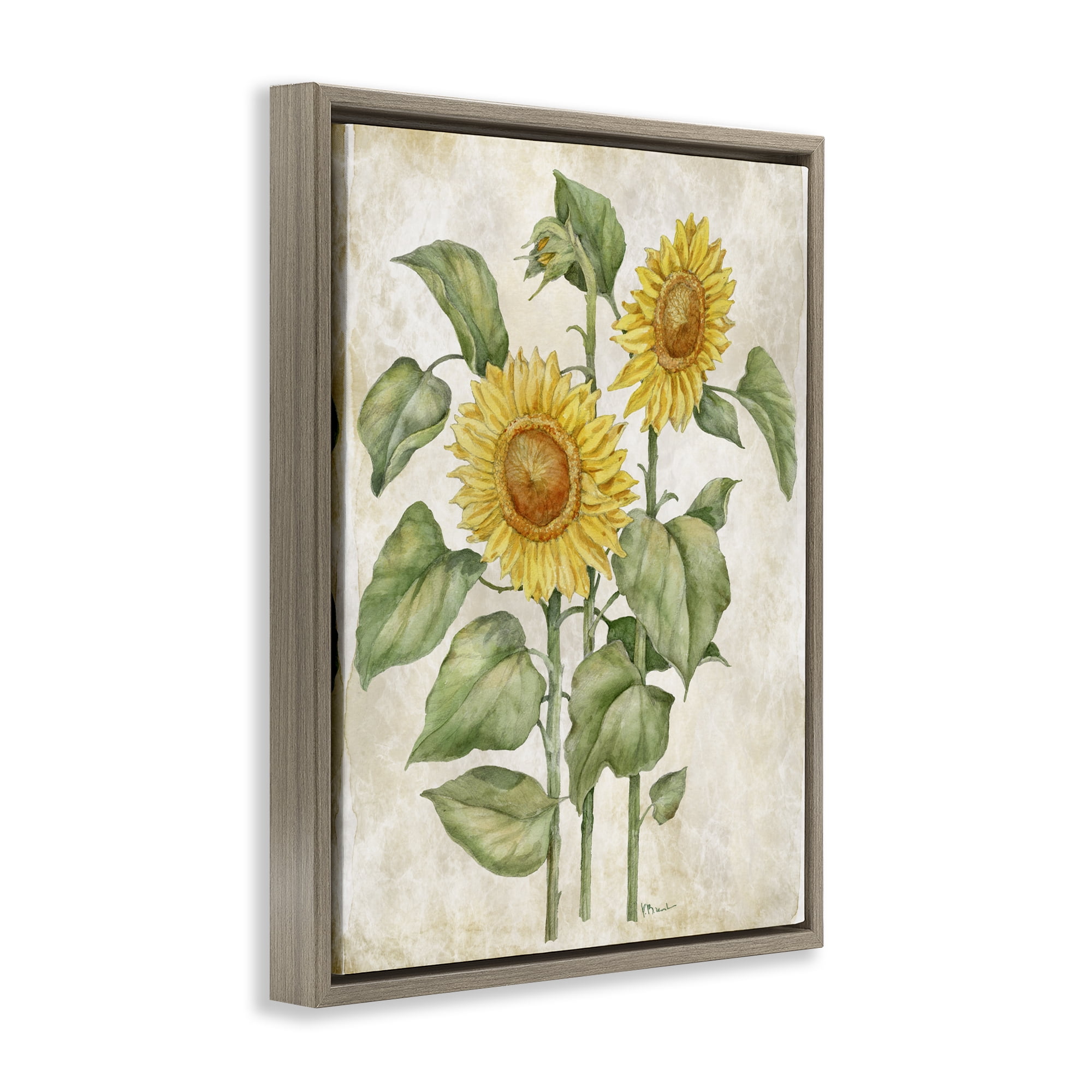 Stupell Industries Floral Journal Vintage Sunflower Brown Framed Floater Canvas Wall Art, design by Paul Brent