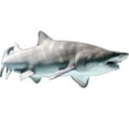 thumbnail image 2 of Realistic Shark Wall Art Decal Sand Shark Sticker Ocean Life Mural Boys Room Decor -VWAQ-PAS8 (10"H X 24"W) White & Gray, 2 of 2