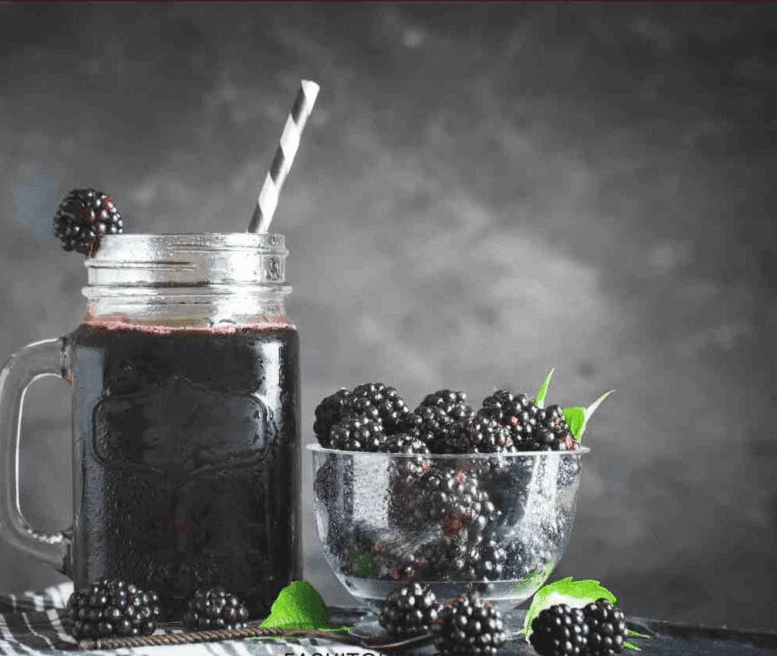 Blackberry Juice Net 33.8 fl.oz (1 Ltr.) - 4 Glass Bottles - High in Antioxidants