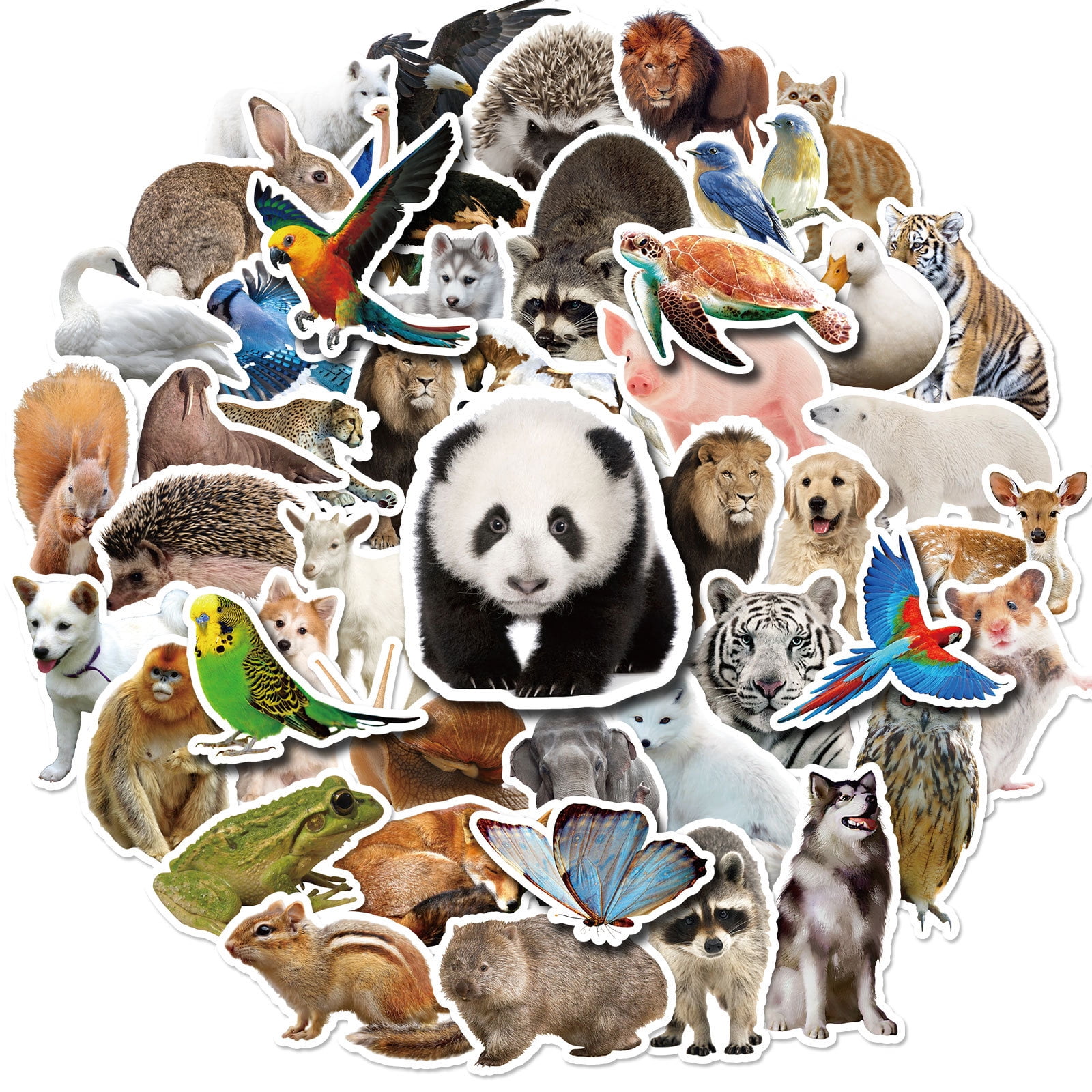 NICKSUN 50Pcs Jungle Animal Stickers Realistic Zoo Animal Decal