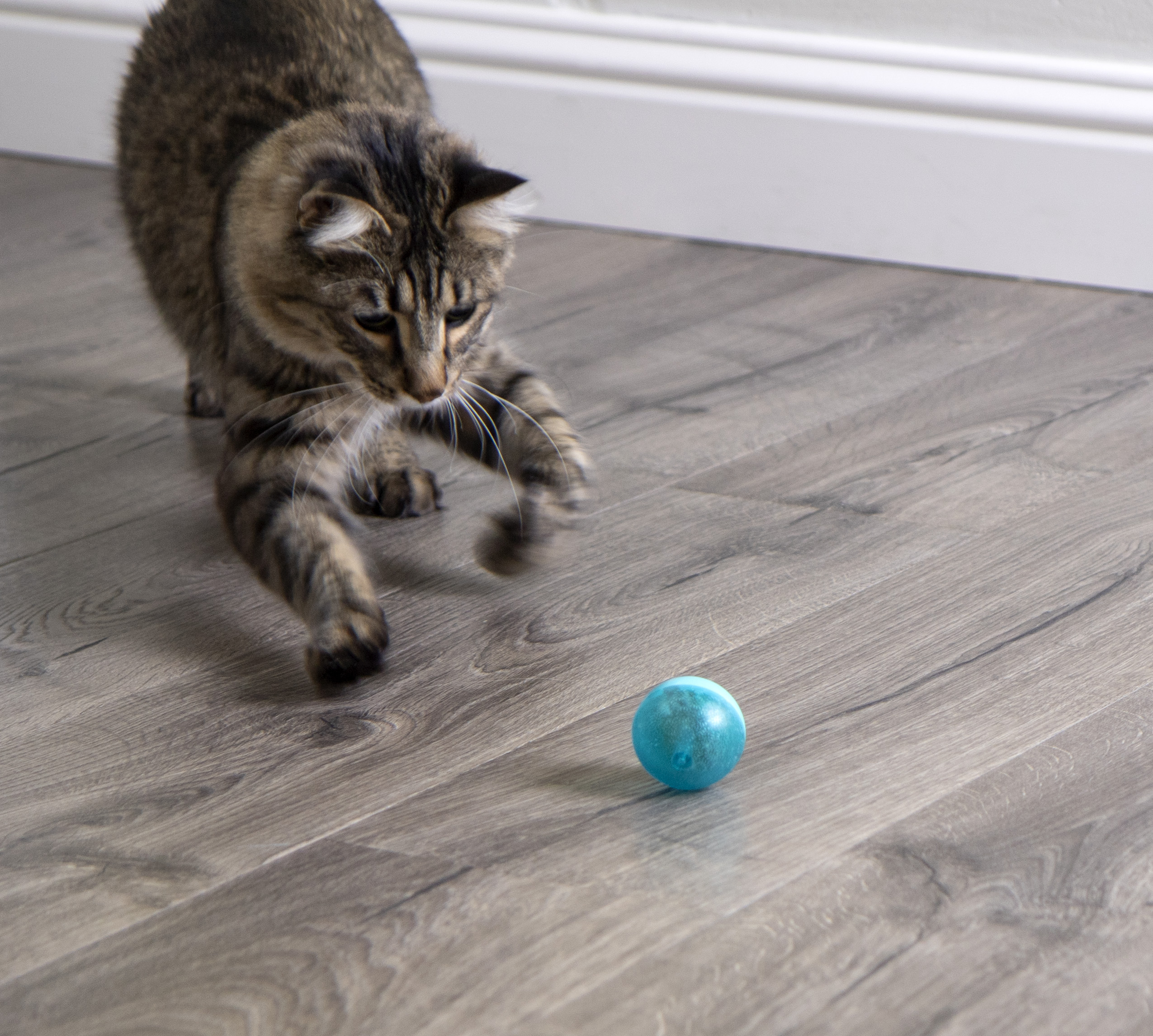 SmartyKat FlickerBall Electronic Light Cat Toy - image 3 of 12
