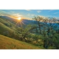 thumbnail image 2 of Geistweite, Mark 24x18 Gold Ornate Wood Framed with Double Matting Museum Art Print Titled - Spring Sunburst I, 2 of 4