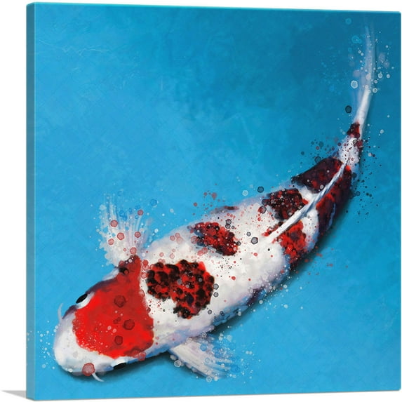 ARTCANVAS Koromo Koi Carp Fish Japan China Asia Canvas Art Print - Size: 12" x 12" (1.50" Deep)