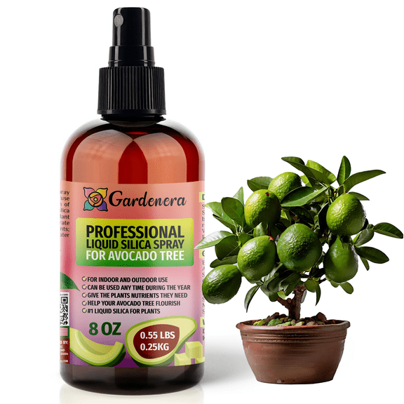 β ππππππππ Liquid Silica Boost Fertilizer and Supplement Spray for AVOCADO TREE Plants β Pre-Mixed, Ready-To-Use Liquid Silicon Plant Superfood Mist for Indoor & Outdoor Plants β 8oz