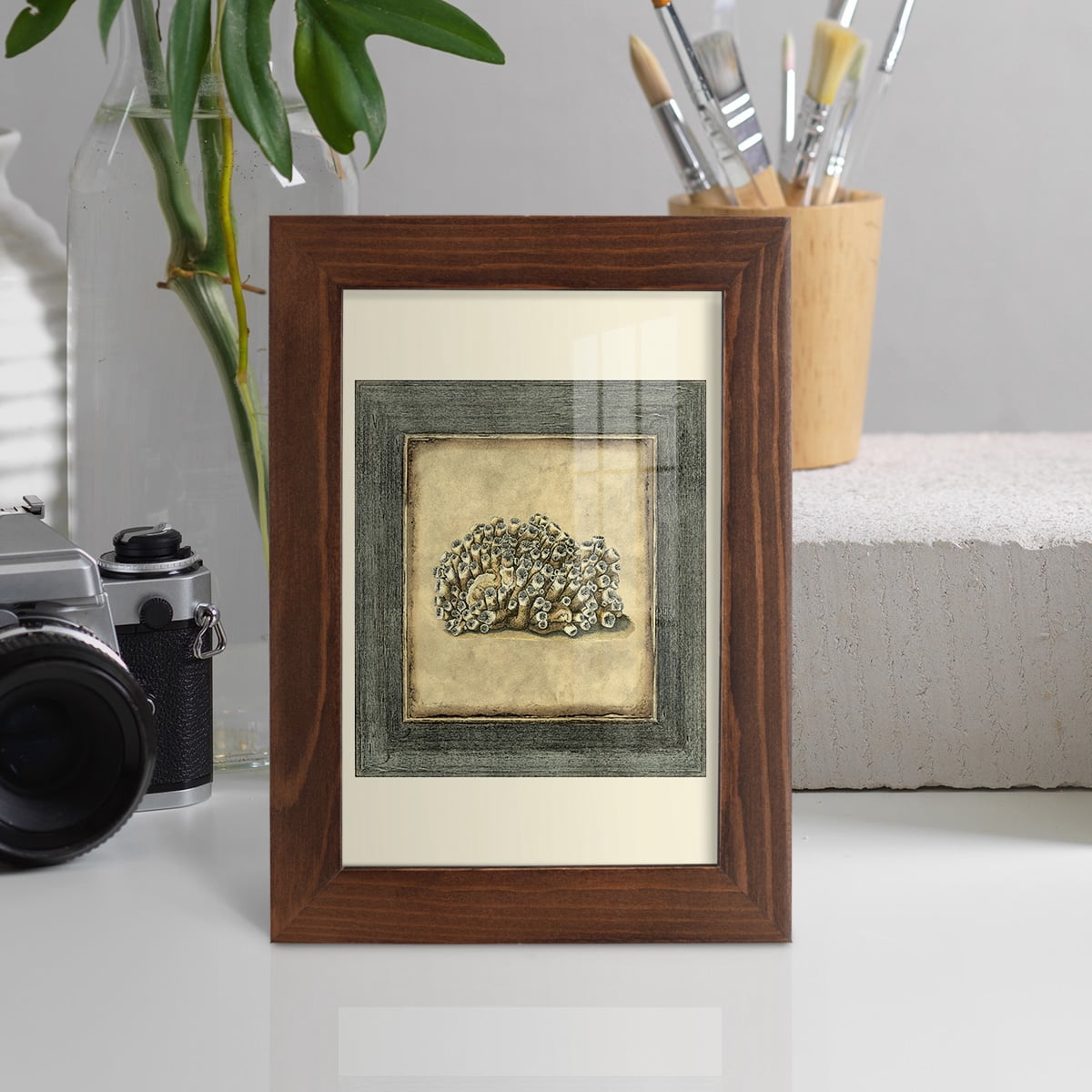 Mini Exotic Coral I (U) - Framed Print w/glass - Chestnut
