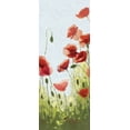 thumbnail image 2 of Novak, Shirley 12x24 White Modern Wood Framed Museum Art Print Titled - Mountain Poppies II - Wag, 2 of 4