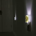 thumbnail image 7 of Cauagu Sunflowers In Vintage Print LED Nightlight,0.5W Night Lights Plug into Wall 1 Pack with Dusk-to-Dawn Light Sensor Soft Glow Lamp for Bathroom Adult Hallway-UK, 7 of 7