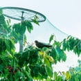 thumbnail image 3 of MasteelfCA Reusable Netting Nylon Netting for Garden Nylon Anti Bird Mesh Nylon Garden Mesh, 3 of 7