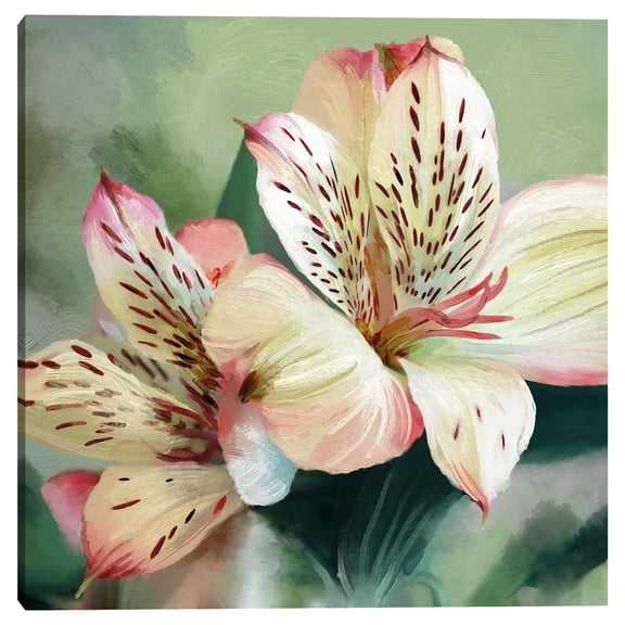 Tropical Lily Square by Studio Arts Canvas Art Print, 1.5" x 24"