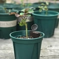 thumbnail image 4 of Fertilizer Basket Box 30 Pieces Plastic Flower Pot Fertilizer Boxes Reusable Fertilizer Cover Box Bonsai Fertilizer Containers5*2cm 30pcs, 4 of 5