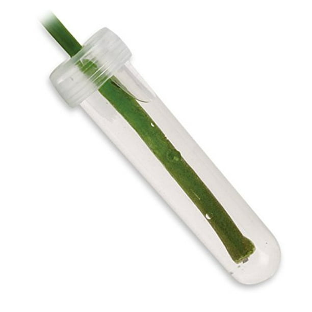 Floral Water Tubes/Vials For Flower Arrangements by Royal Imports