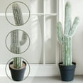thumbnail image 6 of 24.67" Artificial Saguaro Cactus in Black Pot – Lifelike Desert Decor, Zero Maintenance Fake Plant for Home & Office, 6 of 7