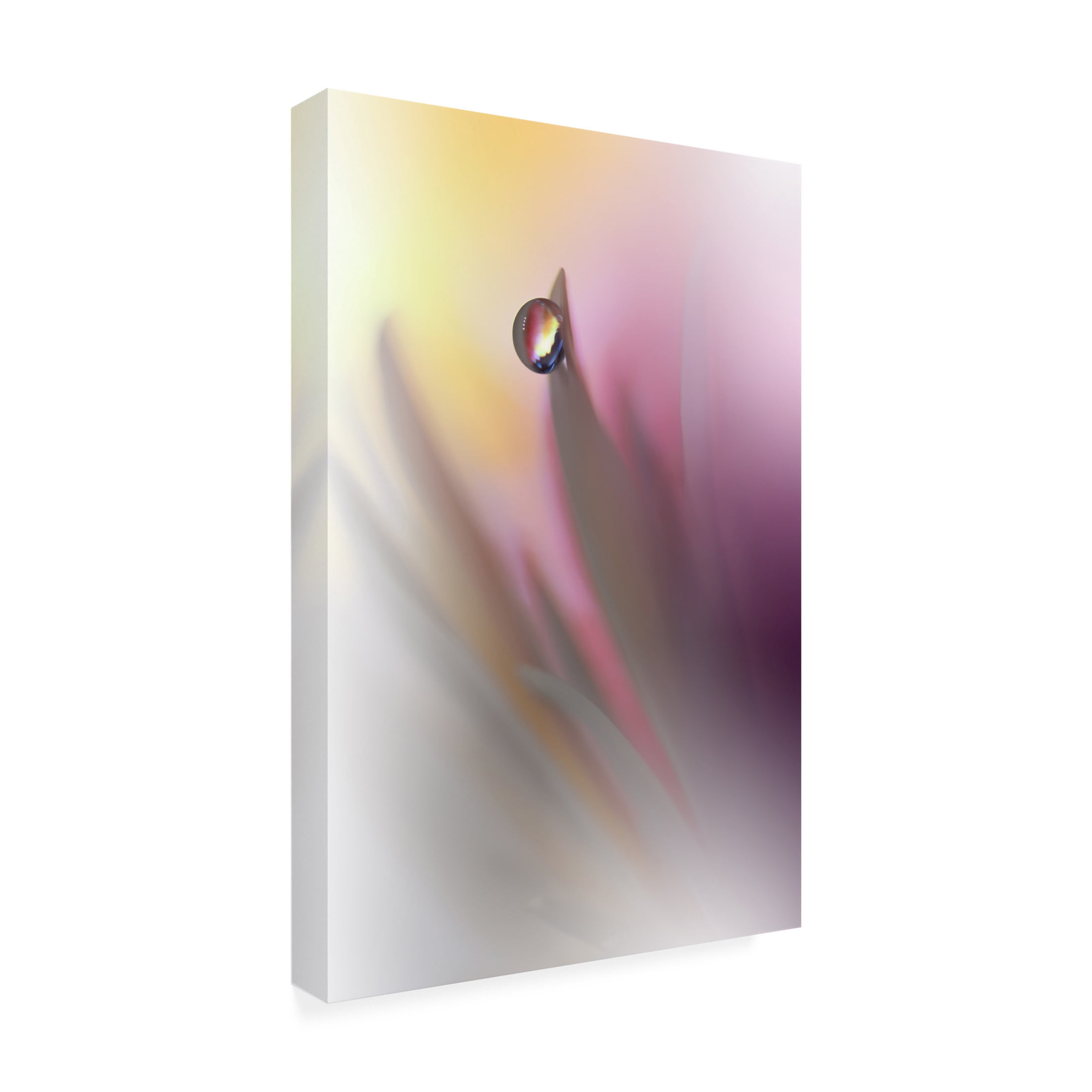 Canvas Wall Art - Juliana Nan 'Abstract Illusion ' Wall Art for Living Room, Bedroom, or Office Décor by Trademark Fine Art - 22 x 32 Inches