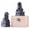 Metallic, variant on Feng Shui Wealth Porsperity Fu Foo Dogs Statues Pair Lion Small Beijing Lions for Home Office, Warding Off Evil Energy Housewarming Congratulatory