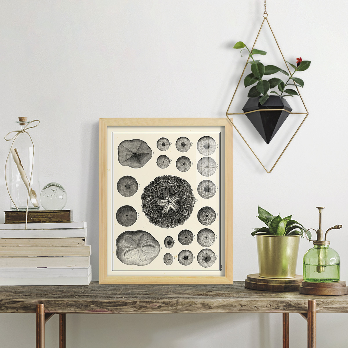 Aegean Collection I -Framed Print w/glass-Natural Wood