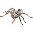 thumbnail image 4 of Figuras de animales realistas - Modelo de acción de araña Figuras de juguete de insectos realistas - Juego de cumpleaños de juguetes educativos de aprendizaje (Tarántula), 4 of 5