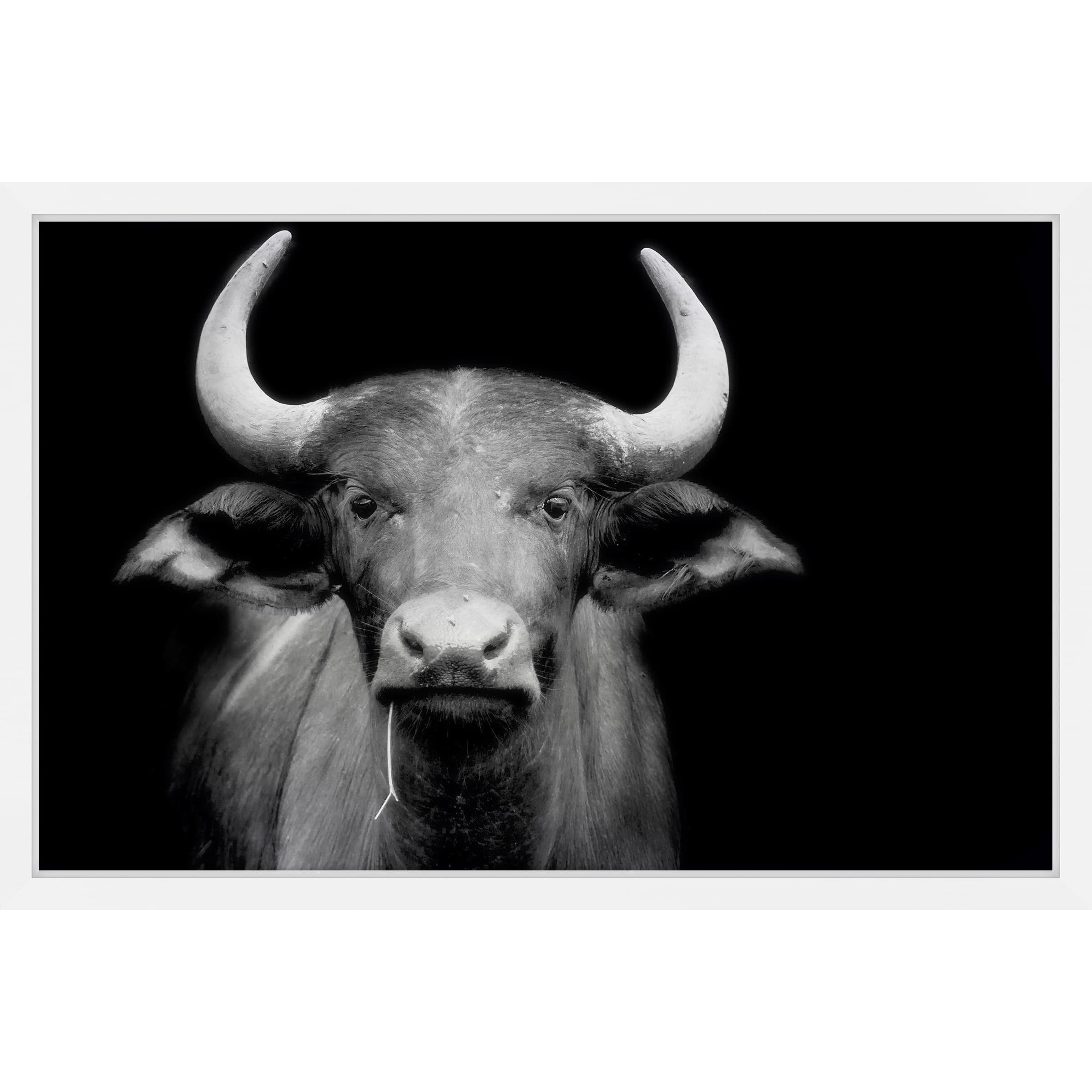 Marmont Hill "Cow Stare" Framed Painting Print