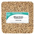 thumbnail image 2 of Home Brew Ohio Red Wheat Grain 50lb, 2 of 5