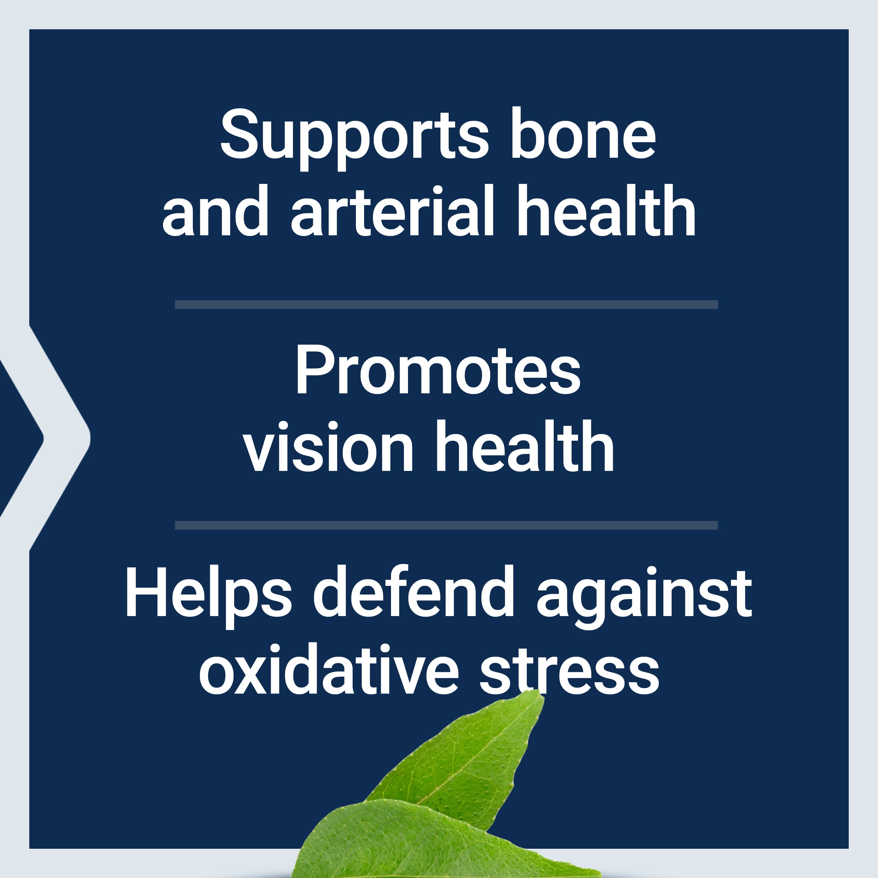 Life Extension Once-Daily Health Booster, vitamins E, K1 & K2, phospholipids, fat-soluble nutrients for eye health, bone health, heart health, gluten free, 1 daily, non-GMO, 60 softgels