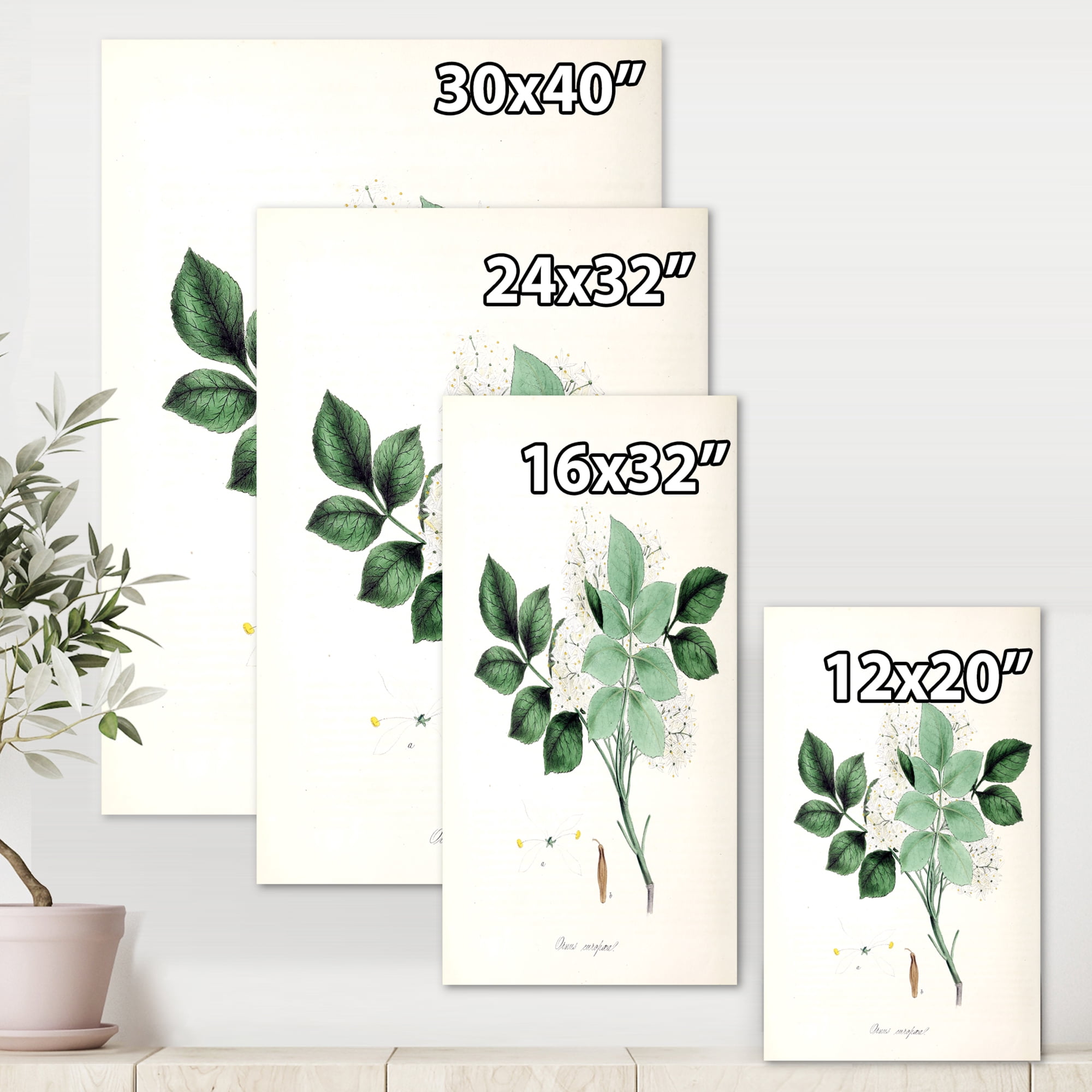Designart ' Ancient Blossoming Flower IV ' Farmhouse Canvas Wall Art Print